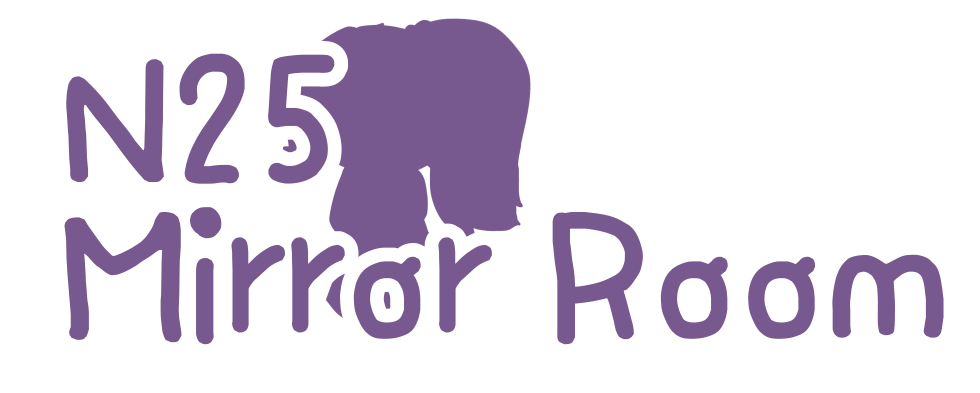 N25 Mirror Room